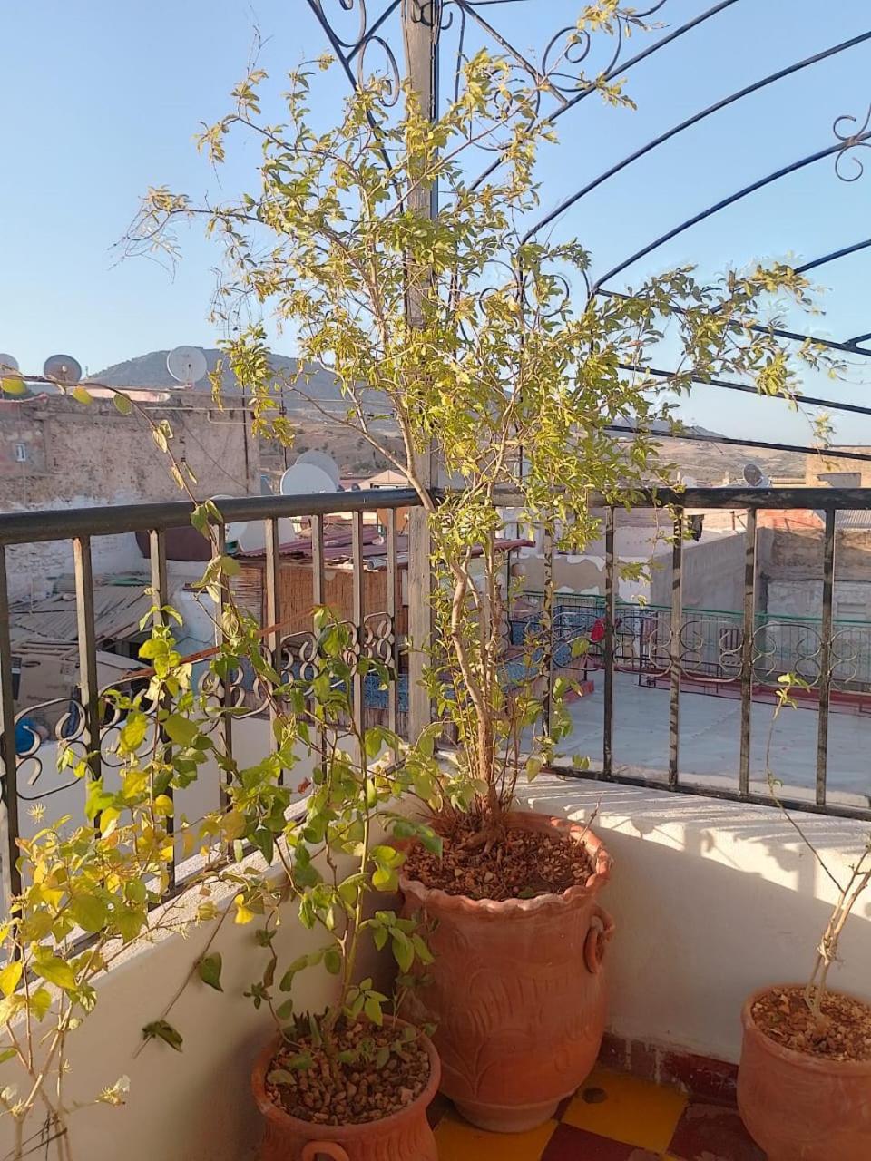 Riad Drissia Panoramic Fez Eksteriør billede