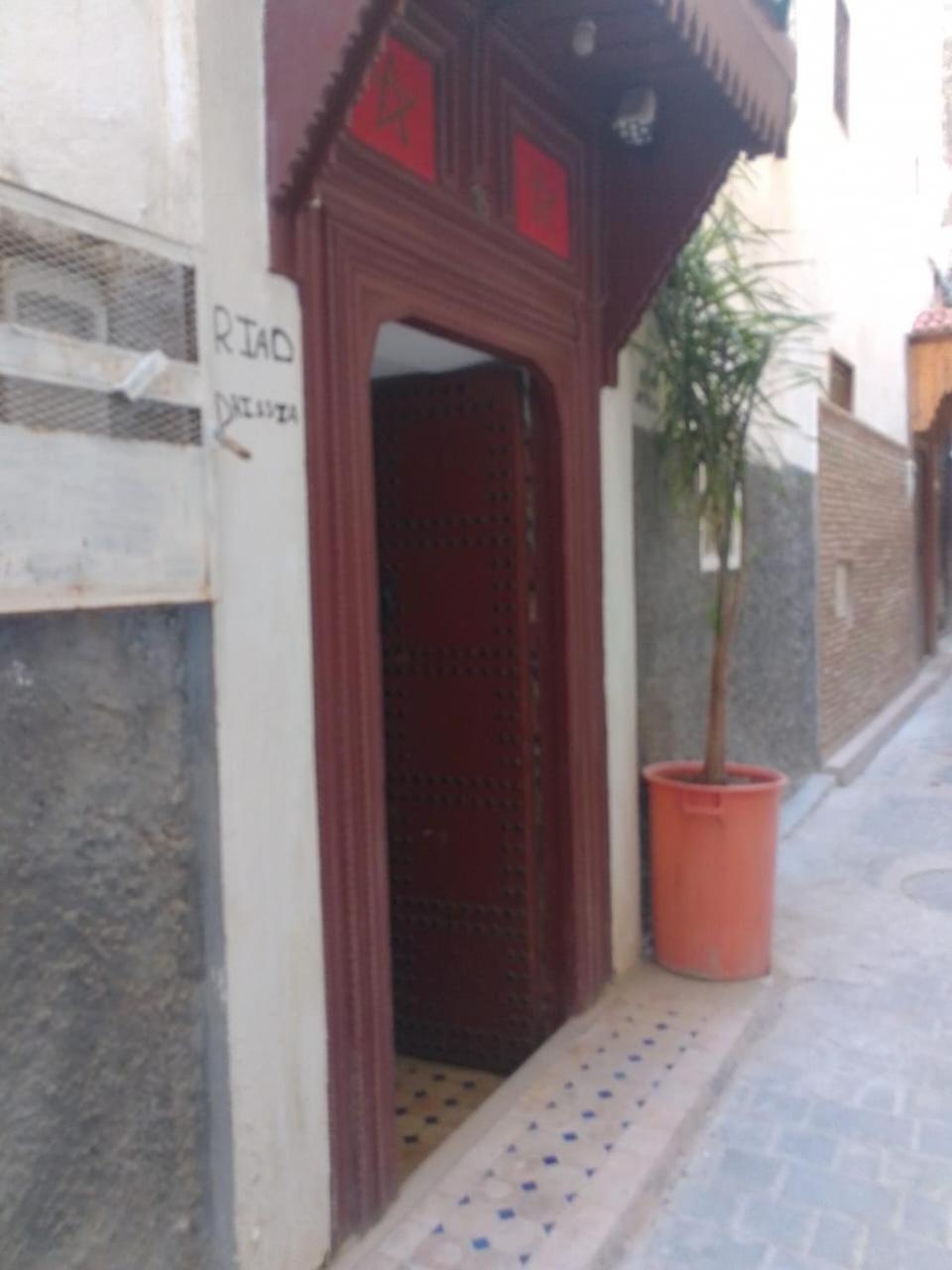 Riad Drissia Panoramic Fez Eksteriør billede